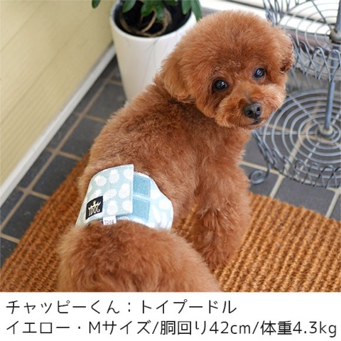 iDog&iCat ¥¢¥¤¥É¥Ã¥°¥¢¥¤¥¥ã¥Ã¥È ¥Þ¥Ê¡¼¥Ù¥ë¥È ¥Ñ¥¤¥ó¥Ü¡¼¥À¡¼ Åìµþ ¥Õ¥ó¥È¥Ò¥å¥Ã¥Æ ²èÁü ¸¤ ¥Þ¥Ê¡¼¥Ð¥ó¥É ¥Þ¡¼¥¥ó¥°ËÉ»ß ¥Ñ¥¤¥Ê¥Ã¥×¥ëÊÁ _ 7.jpg
