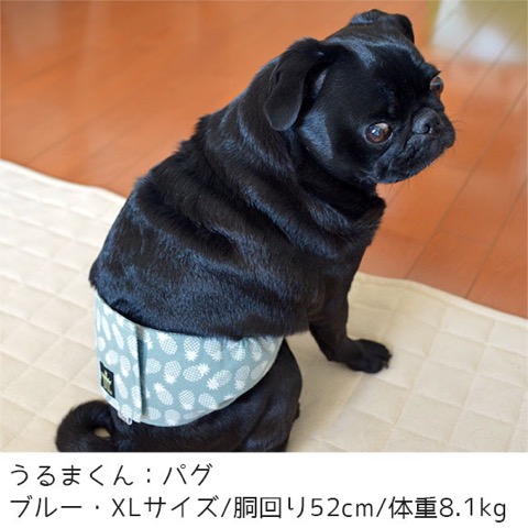 iDog&iCat ¥¢¥¤¥É¥Ã¥°¥¢¥¤¥¥ã¥Ã¥È ¥Þ¥Ê¡¼¥Ù¥ë¥È ¥Ñ¥¤¥ó¥Ü¡¼¥À¡¼ Åìµþ ¥Õ¥ó¥È¥Ò¥å¥Ã¥Æ ²èÁü ¸¤ ¥Þ¥Ê¡¼¥Ð¥ó¥É ¥Þ¡¼¥¥ó¥°ËÉ»ß ¥Ñ¥¤¥Ê¥Ã¥×¥ëÊÁ _ 8.jpg