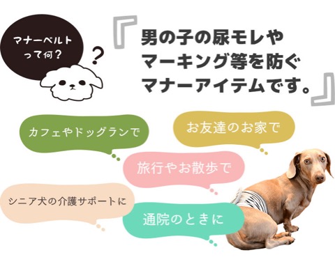 iDog&iCat ¥¢¥¤¥É¥Ã¥°¥¢¥¤¥¥ã¥Ã¥È ¥Þ¥Ê¡¼¥Ù¥ë¥È ¥Ñ¥¤¥ó¥Ü¡¼¥À¡¼ Åìµþ ¥Õ¥ó¥È¥Ò¥å¥Ã¥Æ ²èÁü ¸¤ ¥Þ¥Ê¡¼¥Ð¥ó¥É ¥Þ¡¼¥¥ó¥°ËÉ»ß ¥Ñ¥¤¥Ê¥Ã¥×¥ëÊÁ _ 9.jpg