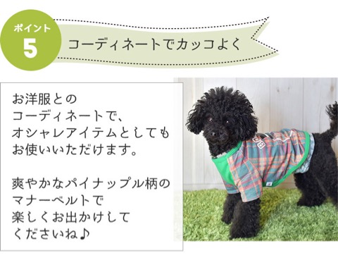 iDog&iCat ¥¢¥¤¥É¥Ã¥°¥¢¥¤¥¥ã¥Ã¥È ¥Þ¥Ê¡¼¥Ù¥ë¥È ¥Ñ¥¤¥ó¥Ü¡¼¥À¡¼ Åìµþ ¥Õ¥ó¥È¥Ò¥å¥Ã¥Æ ²èÁü ¸¤ ¥Þ¥Ê¡¼¥Ð¥ó¥É ¥Þ¡¼¥¥ó¥°ËÉ»ß ¥Ñ¥¤¥Ê¥Ã¥×¥ëÊÁ _ 14.jpg