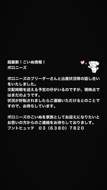 ¥Ü¥í¥Ë¡¼¥º ¤³¤¤¤Ì¾ðÊó »Ò¸¤¾ðÊó ²È²Êç½¸Ãæ ´õ¾¯¸¤¼ï ¸¤¤Î¼Ò²ñ²½ ¥Õ¥ó¥È¥Ò¥å¥Ã¥Æ puppy bolognese #¥Ü¥í¥Ë¡¼¥º #¤³¤¤¤Ì¾ðÊó #»Ò¸¤¾ðÊó #²È²Êç½¸Ãæ #´õ¾¯¸¤¼ï #¸¤¤Î¼Ò²ñ²½ #¥Õ¥ó¥È¥Ò¥å¥Ã¥Æ #puppy #bolognese _ 1.jpg
