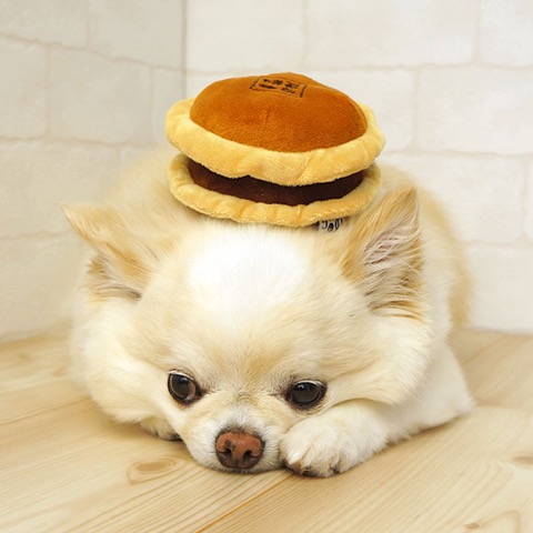 iDog&iCat ¥¢¥¤¥É¥Ã¥°¥¢¥¤¥¥ã¥Ã¥È iToy ¥Ú¥Ã¥ÈÍÑÉÛÀ½¤ª¤â¤Á¤ã ²èÁü ¸¤ÍѤª¤â¤Á¤ã ¤â¤Ã¤Á¤ê¤É¤é¤ä¤ _ 5.jpg