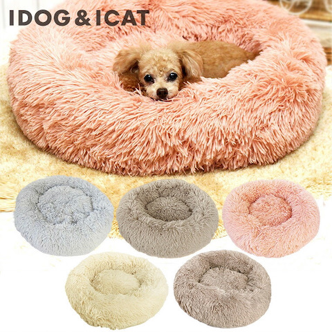 IDOG&ICAT 㥮٥å 饰奢꡼ ɥå ڥåѥƥꥢ ڥåѥ٥å 襤   _ 3