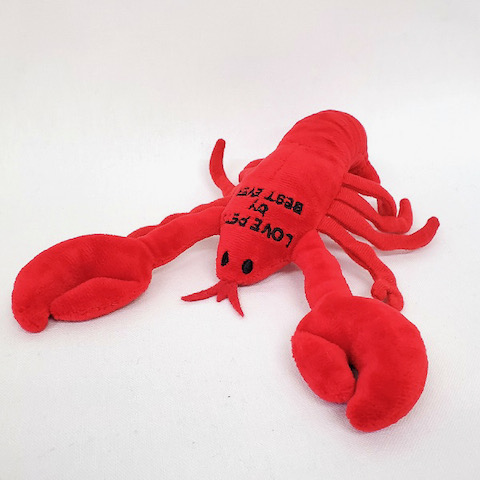 LOVE PETS by BESTEVER ٥ȥС  ڥåȥå dogtoy  ֥ Lobster _ 3