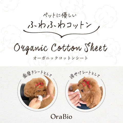 OraBio ӥ ᤭ ޥ䥱 ΤΥ λ᤭  ߤ ڥå ǥ󥿥륱 dog ɥå åå  եȥҥå  MADE IN JAPAN ˥ååȥ󥷡 _ 4