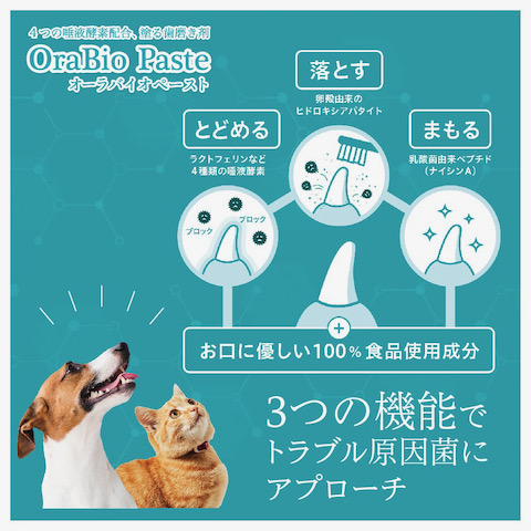 OraBio ӥ ᤭ ޥ䥱 ΤΥ λ᤭  ߤ ڥå ǥ󥿥륱 dog ɥå åå  եȥҥå  MADE IN JAPAN ǭѤϤߤ Хڡ _ 2