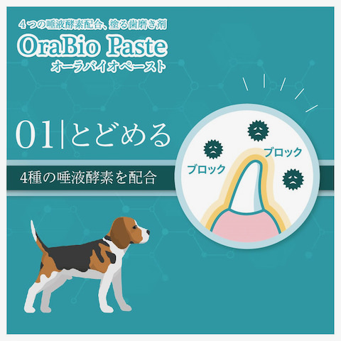 OraBio ӥ ᤭ ޥ䥱 ΤΥ λ᤭  ߤ ڥå ǥ󥿥륱 dog ɥå åå  եȥҥå  MADE IN JAPAN ǭѤϤߤ Хڡ _ 3