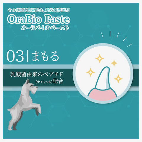 OraBio ӥ ᤭ ޥ䥱 ΤΥ λ᤭  ߤ ڥå ǥ󥿥륱 dog ɥå åå  եȥҥå  MADE IN JAPAN ǭѤϤߤ Хڡ _ 5
