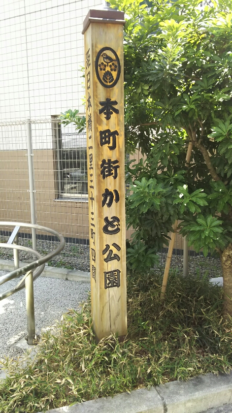 DSC_7495.JPG