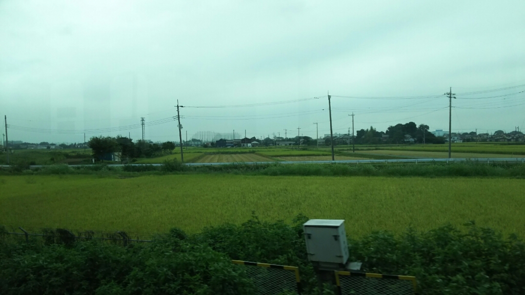 DSC_2379.JPG