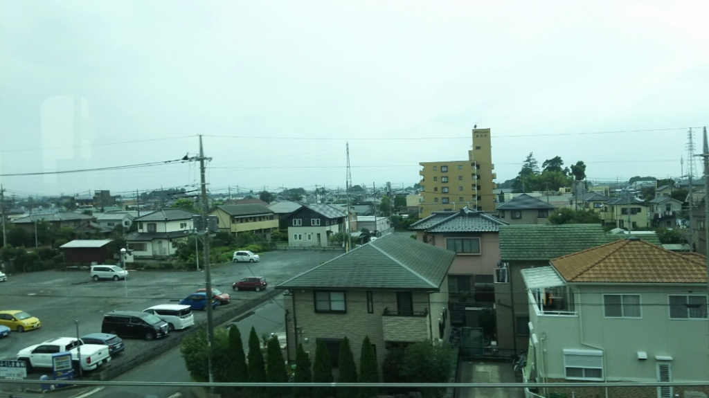 DSC_2384.JPG