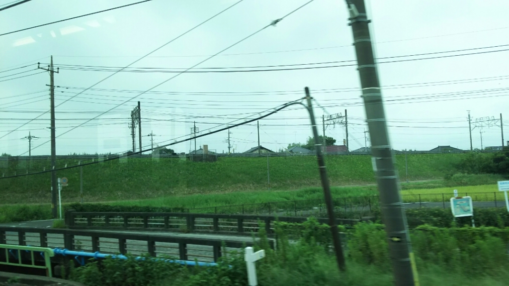 DSC_2388.JPG