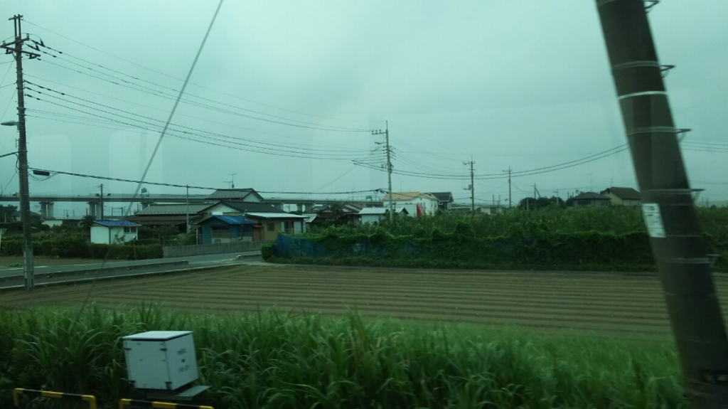 DSC_2398.JPG