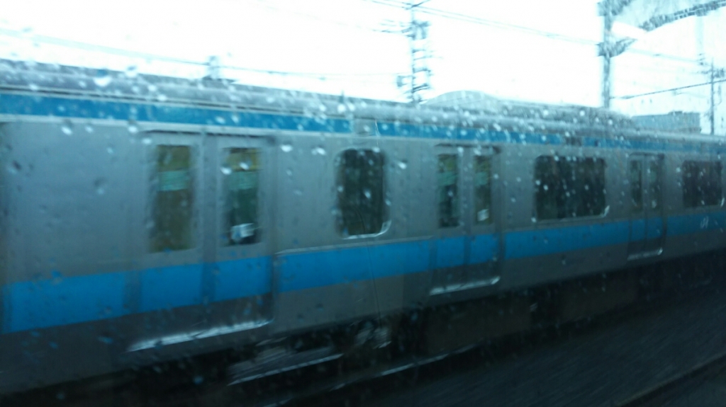 DSC_2484.JPG