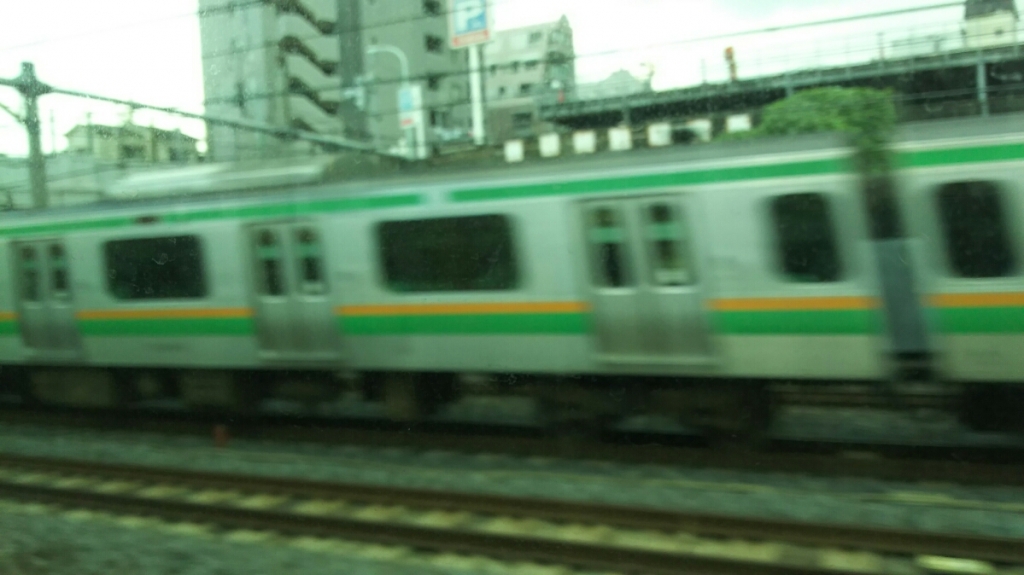 DSC_2560.JPG