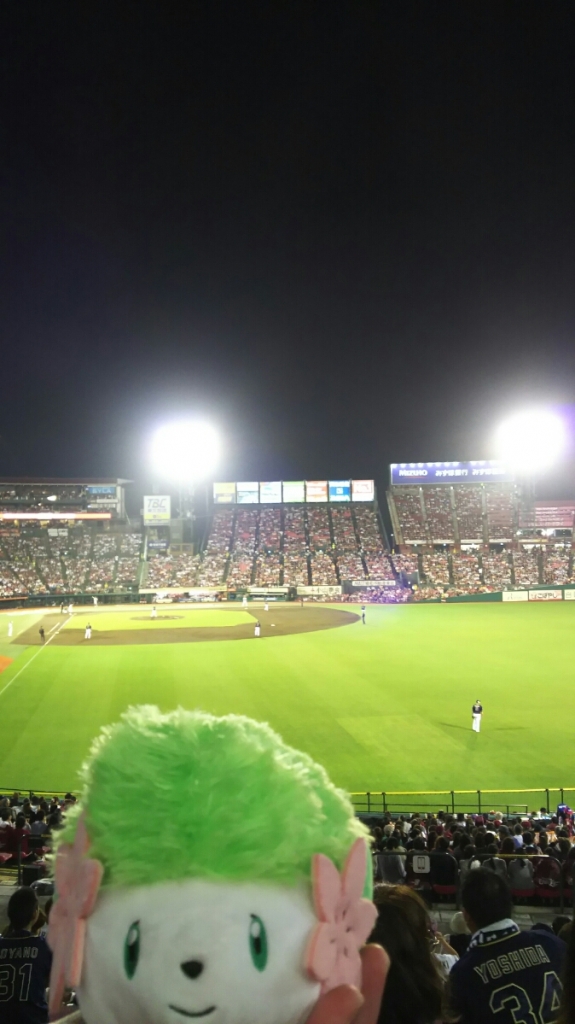 DSC_4852.JPG