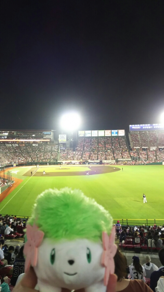 DSC_4872.JPG