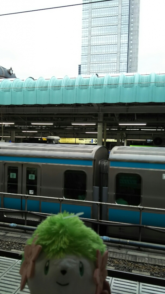 DSC_3044.JPG