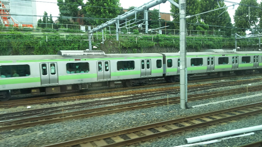 DSC_3094.JPG