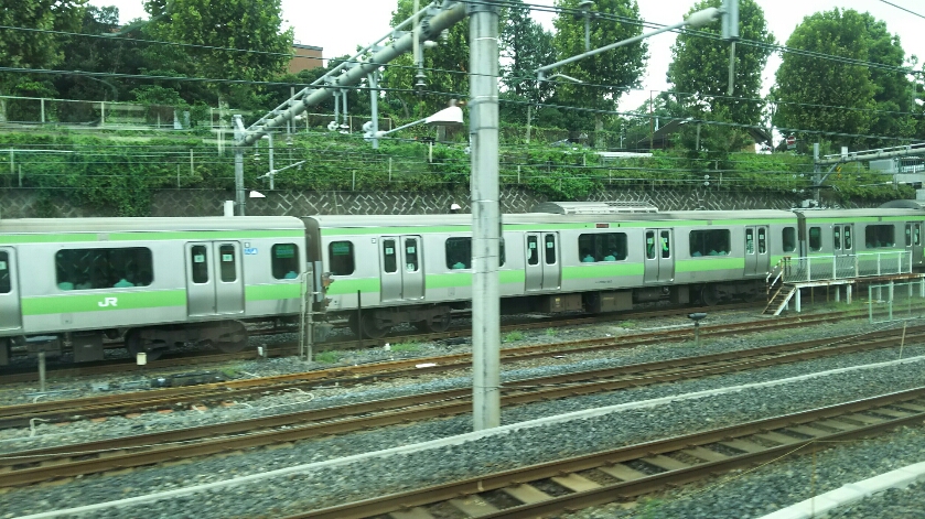 DSC_3095.JPG