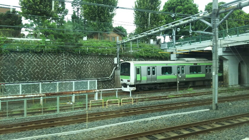 DSC_3096.JPG