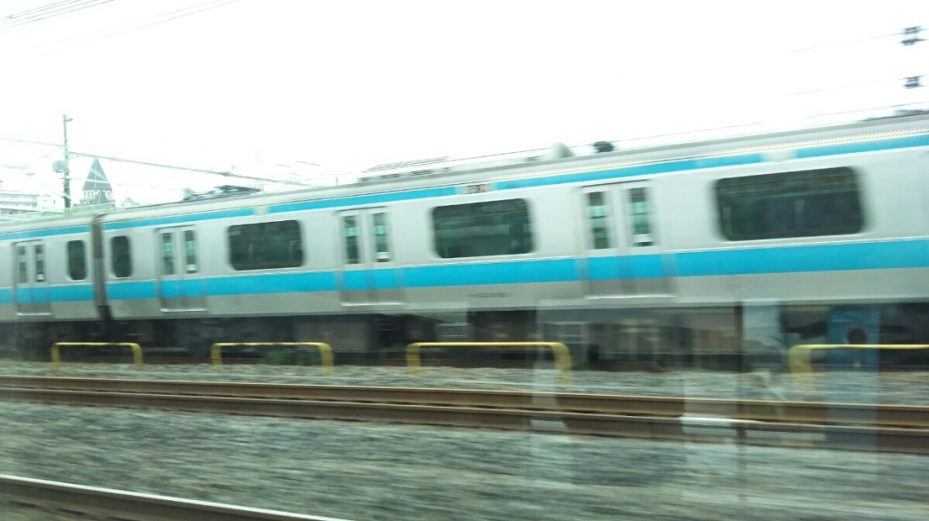 DSC_3116.JPG