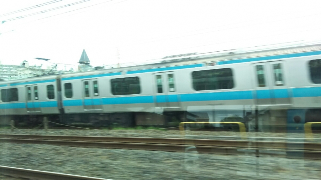 DSC_3117.JPG