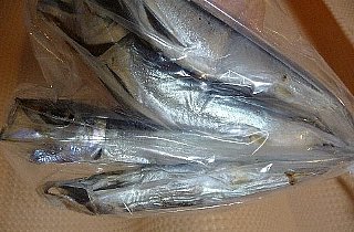 いわしの一夜干し