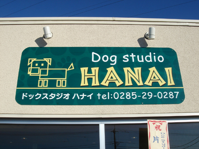 ¥É¥Ã¥°¥¹¥¿¥¸¥ª¡¦HANAI¡Ê¥Ï¥Ê¥¤¡Ë¤µ¤ó¡