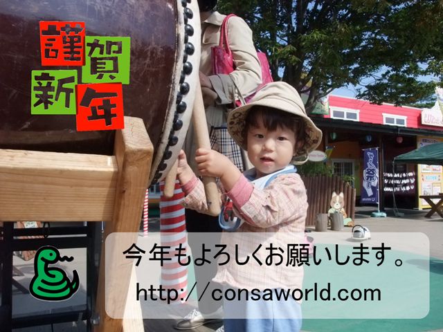 2013年賀状net.jpg