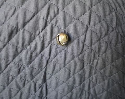 _1300997.JPG