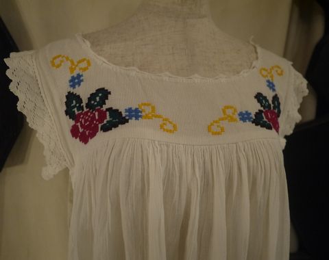 _1350911.JPG