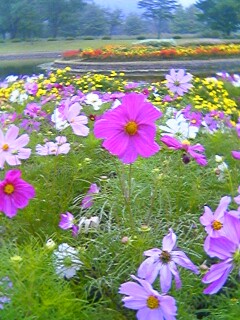 20051004_37305.jpg