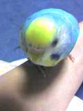 20060913_219639.jpg
