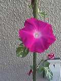 20060922_225556.jpg