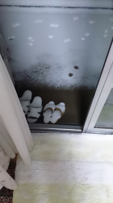 ÂÀס¡¤½¤Î2