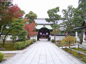 長谷川等伯の襖絵 智積院 京都 こいちゃの日記