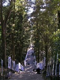 kuma1