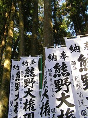 kuma6