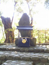 kuma7