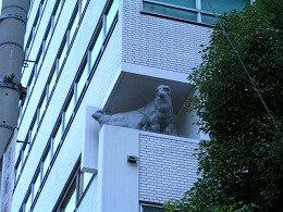 shidani7
