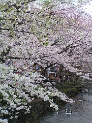 takase1