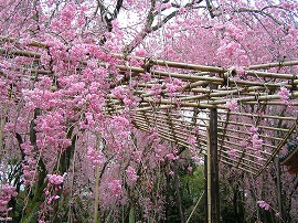 heian1