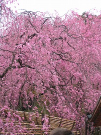 heian2