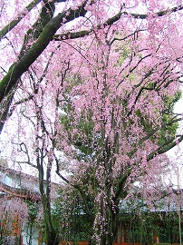 heian5