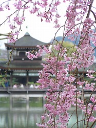 heian6
