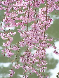 heian7