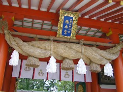 hayatama1