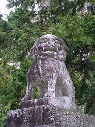 hayatama3