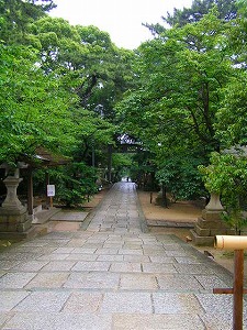 yuzu1